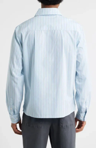 Jungles What Problem Button-up Shirt In Blue