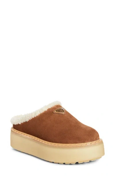 Prada Brown Suede Mules With Shearling Trim And Plush Lining In Blue