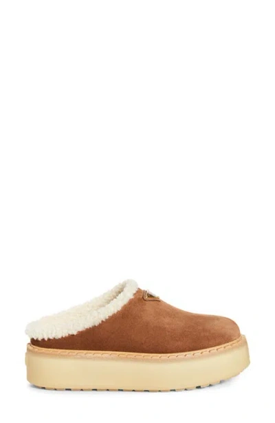 Prada Brown Suede Mules With Shearling Trim And Plush Lining In Blue