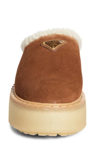 Prada Brown Suede Mules With Shearling Trim And Plush Lining In Blue