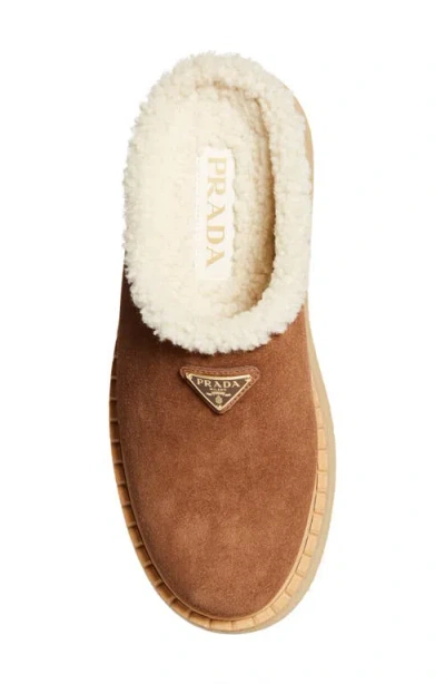 Prada Brown Suede Mules With Shearling Trim And Plush Lining In Blue