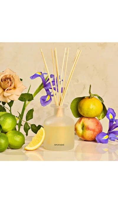 Apotheke Reed Diffuser In Brown
