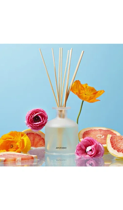Apotheke Reed Diffuser In Multi