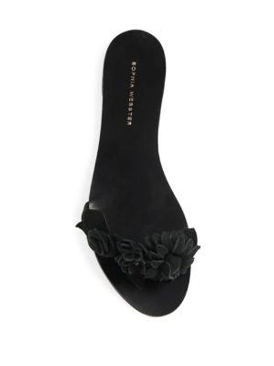 Shop Sophia Webster Lilico Flower Suede Slides In Black