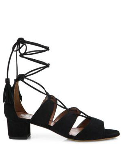 Shop Tabitha Simmons Isadora Suede Lace-up Sandals In Black