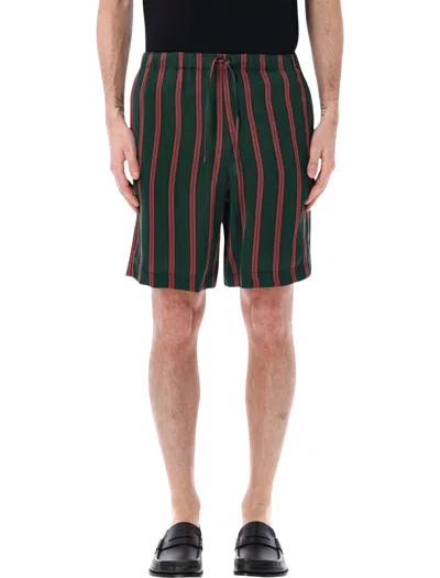 Dries Van Noten Piperi Bermuda Stripe In Multi