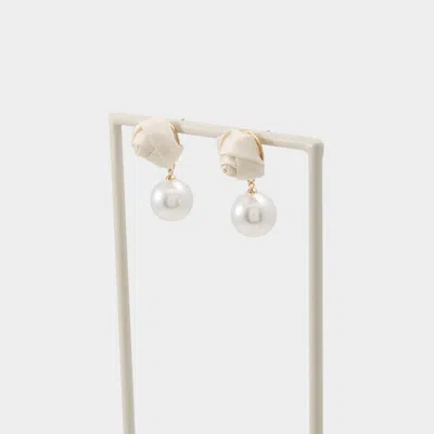 Aldo Rosettee In Neutral