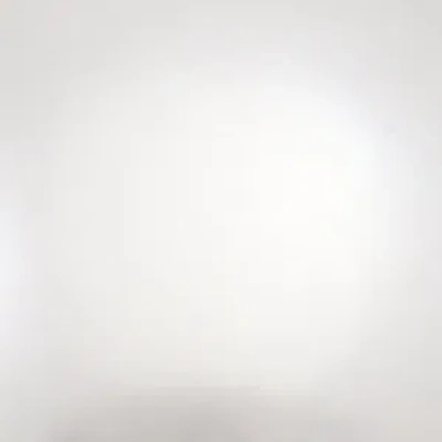 Aldo Rosettee In Neutral