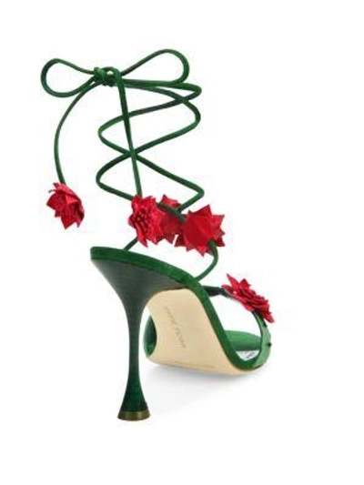 Shop Manolo Blahnik Xacactus Suede Ankle-wrap Sandals In Green