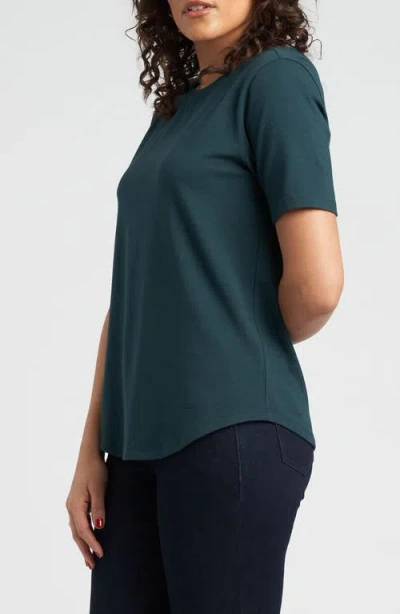 Universal Standard Tee Rex Tee In Green