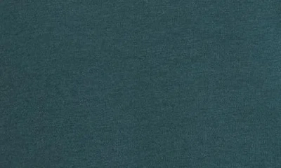 Universal Standard V-rex Tee In Green