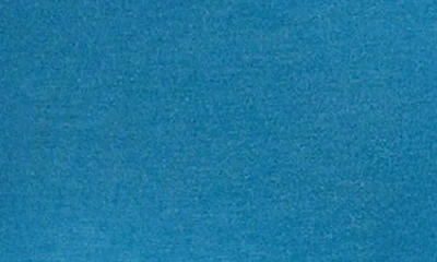 Universal Standard Tee Rex Tee In Blue
