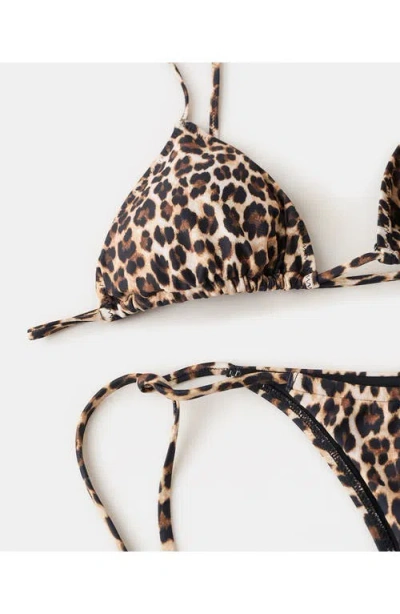 Mango Leopard Triangle Bikini Top In Animal Print