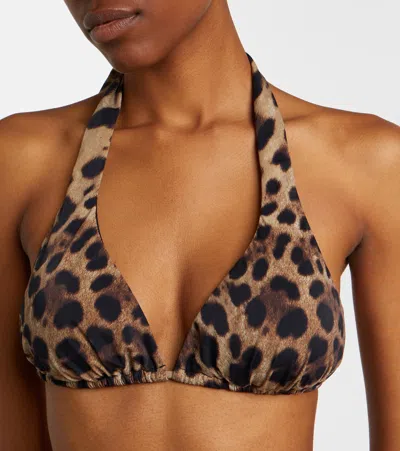 Dolce & Gabbana Leopard-print Triangle Bikini Top In Brown