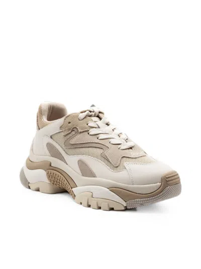 Ash Panelled Sneakers In Multi