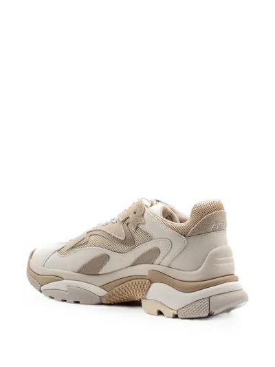 Ash Panelled Sneakers In Multi