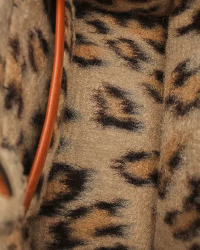 Celine Céline Small Leopard Thaise Triomphe Bag In Multi