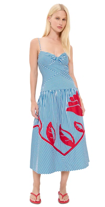 Farm Rio Sky Striped Embroidered Cotton Poplin Midi Dress In Blue