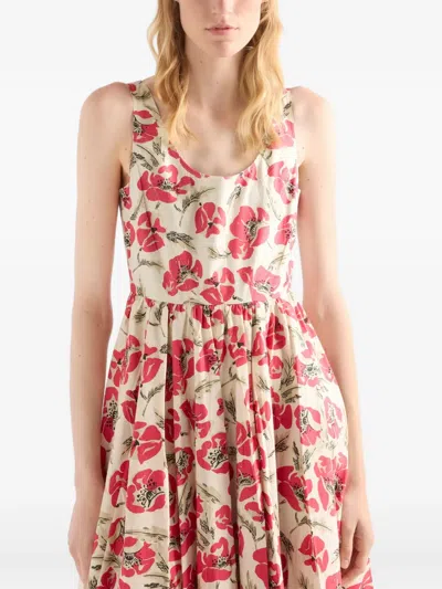 Prada Soft-poplin Dress In Multi