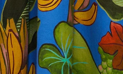 Farm Rio Blue Banana Grapes 3d Bodice Sleeveless Maxi Dress In Multi
