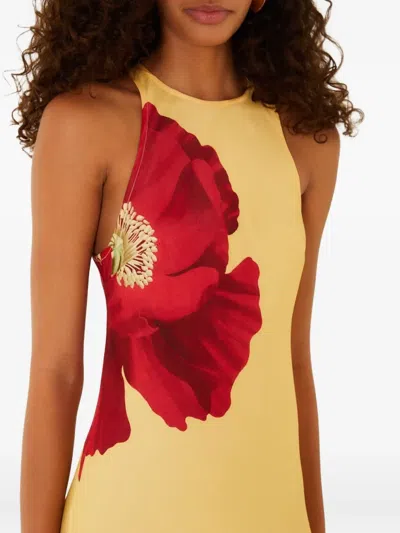 Farm Rio Poppy Flowers Maxi Dress Poppy Flowers Light Yellow In Neutral