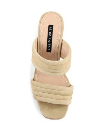 Shop Alice And Olivia Colby Suede Block Heel Slide Sandals In Black