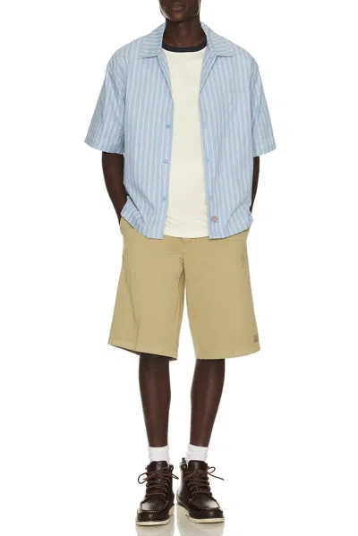 Dickies Worn In Neutral
