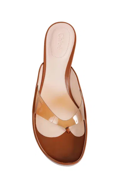 Chloé Elegant Heeled Shoes For Women In Multi