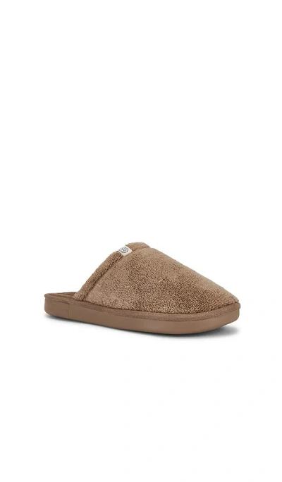Brunch Essential In Brown