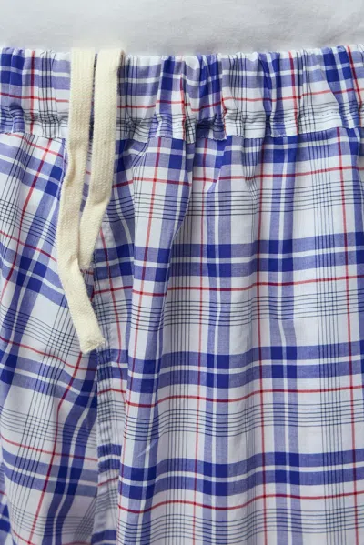 Sofie D'hoore Checked Wide-leg Trousers In Blue