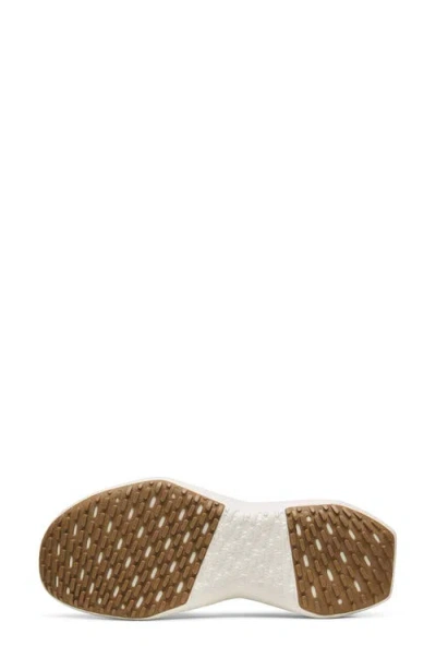 Allbirds Tree Dasher 2 Sneaker In White