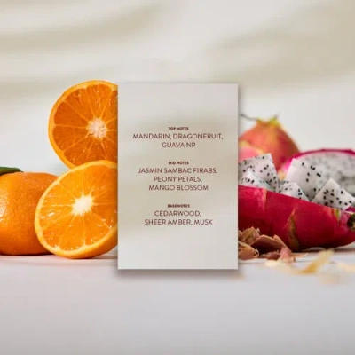 Michael Malul Siesta Key Eau De Parfum In Multi