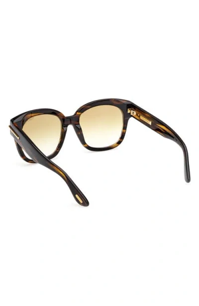 Tom Ford 55mm Icon Square Gradient Sunglasses In Brown