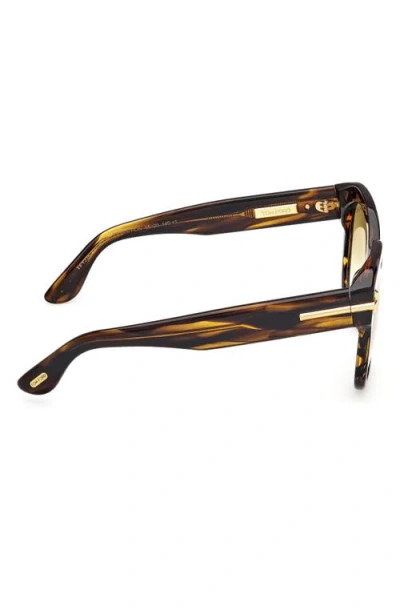 Tom Ford 55mm Icon Square Gradient Sunglasses In Brown