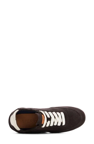Sperry Slim Jogger Sneaker In Brown