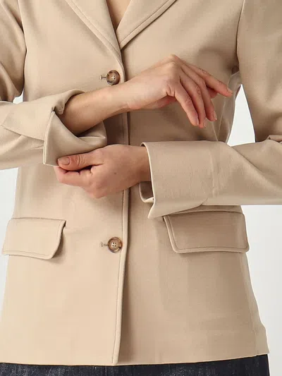 Max Mara Baco Single-breasted Jacket In Brown