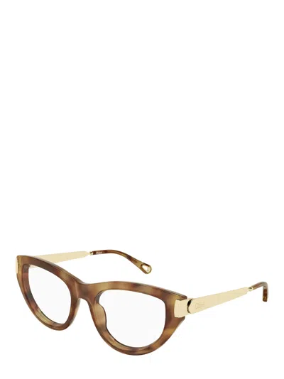 Chloé Eyewear Cat-eye Frame Glasses In Pattern