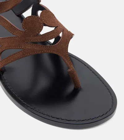 Pucci Suede Gladiator Sandals In Brown