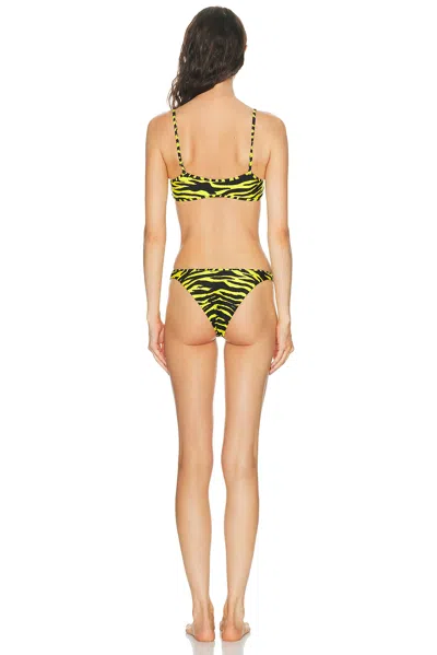 Attico Zebra Bikini Set In Black & Yellow