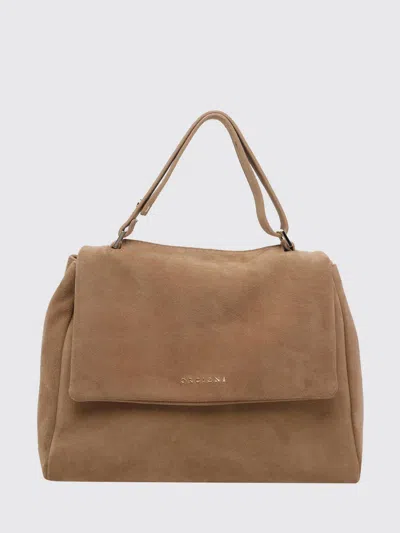 Orciani Medium Sveva Leather Tote Bag In Brown
