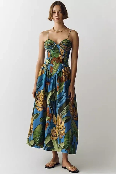 Farm Rio Blue Banana Grapes 3d Bodice Sleeveless Maxi Dress In Multi