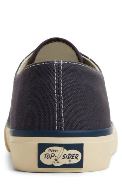 Sperry Classic Evo Sneaker In Black