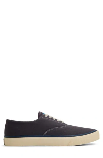 Sperry Classic Evo Sneaker In Black