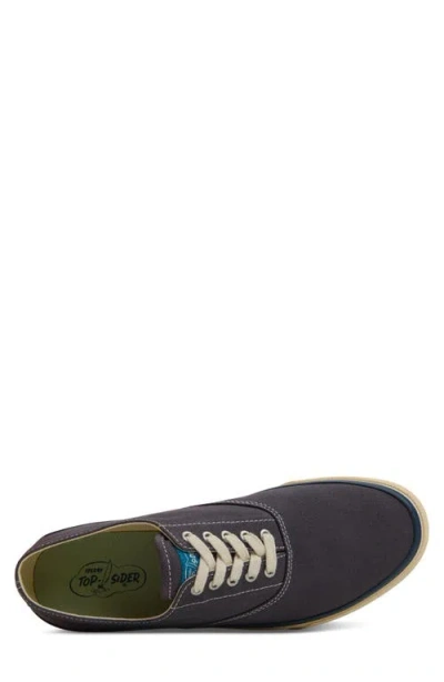Sperry Classic Evo Sneaker In Black