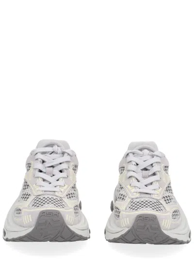 Ash Dragon Sneaker In Gray