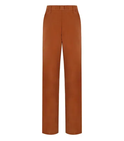 Mm Max Mara Ozono Rust Pants In Brown