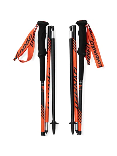 Dynafit Logo-print Foldable Trekking Poles In Pattern