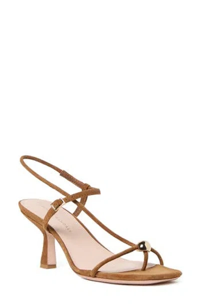 Loeffler Randall Triana Strappy Mid Heel Sandals With Ball Dune In Brown