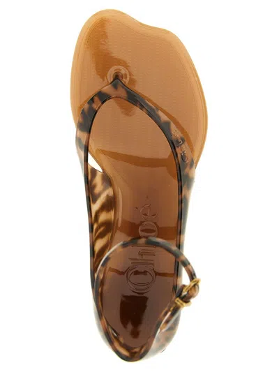 Chloé Brown Jelly Sandal With Animal Print And Flat Sandal In Multi