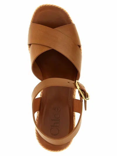 Chloé Elegant Sandal With 10.5 Cm Heel Height For Women In Brown